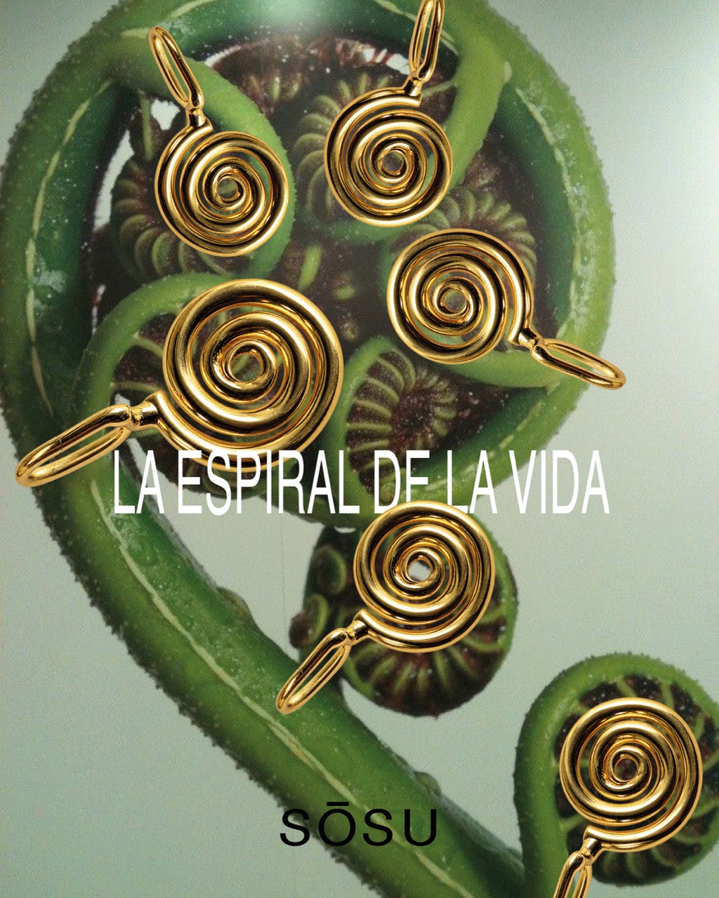 ESPIRAL DE LA VIDA - Image 4