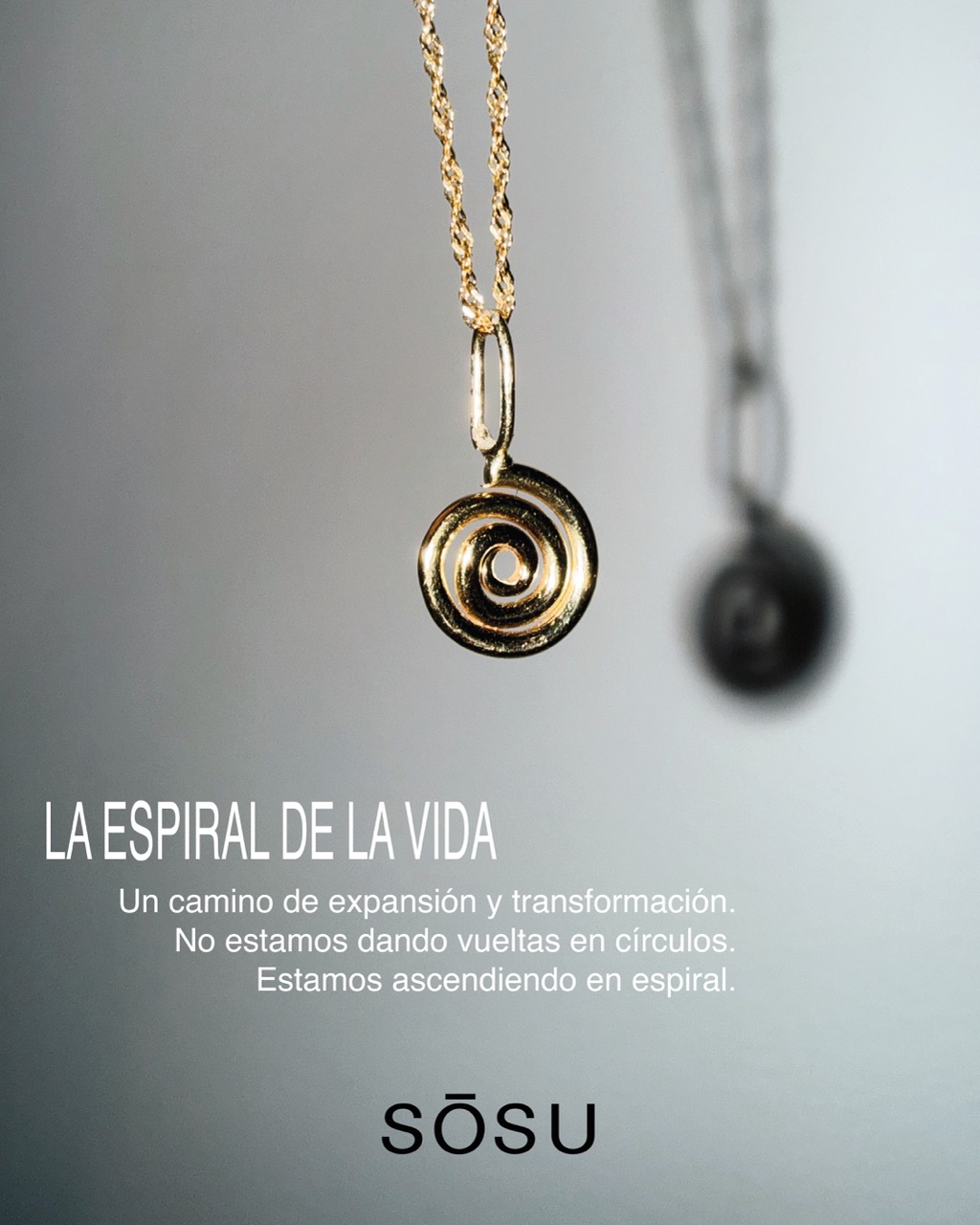 ESPIRAL DE LA VIDA